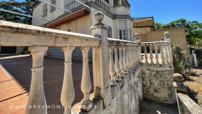 Jardín trasero 