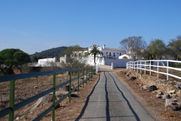 Entrada camino cortijo